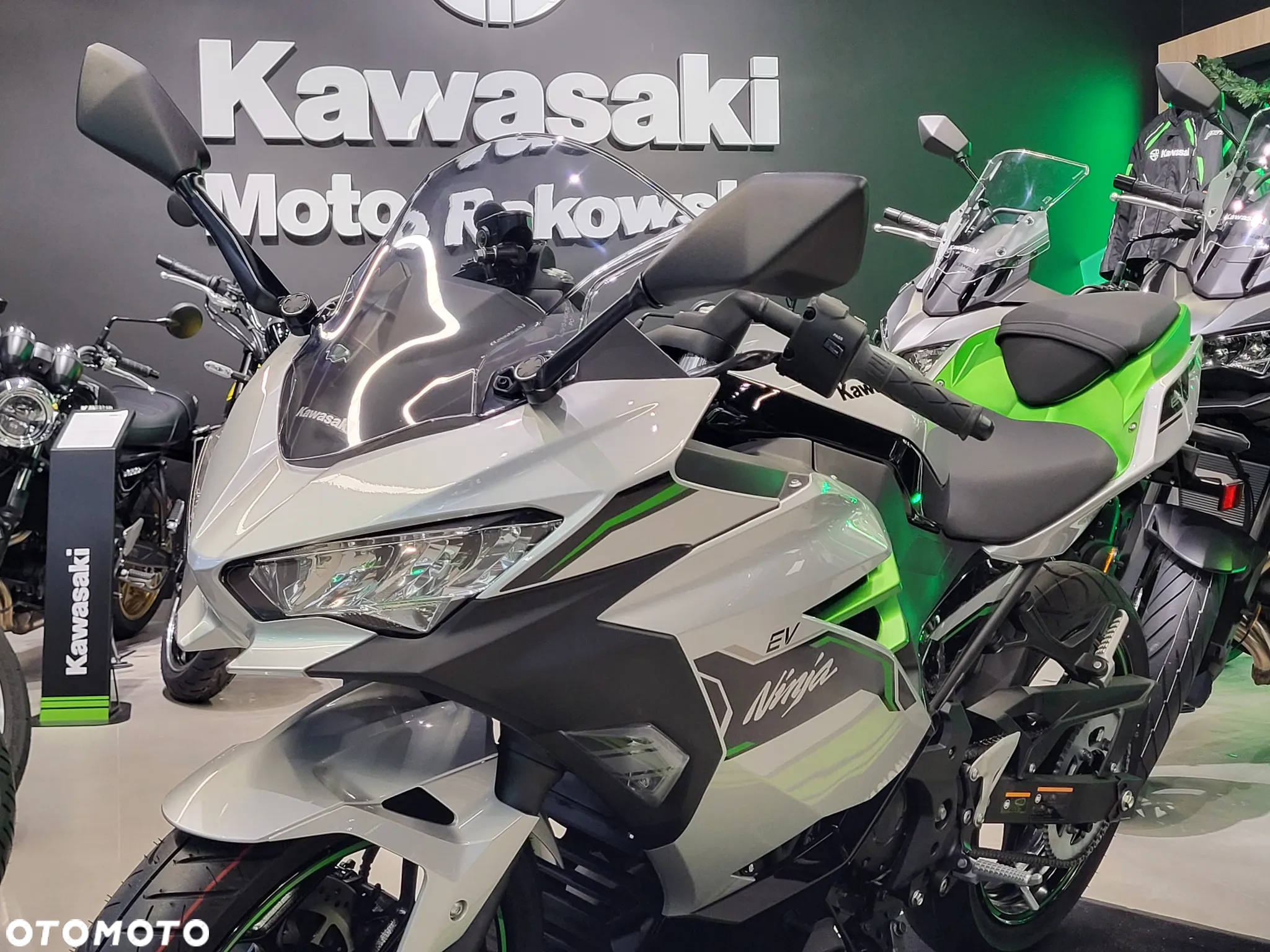 Kawasaki Ninja - 11