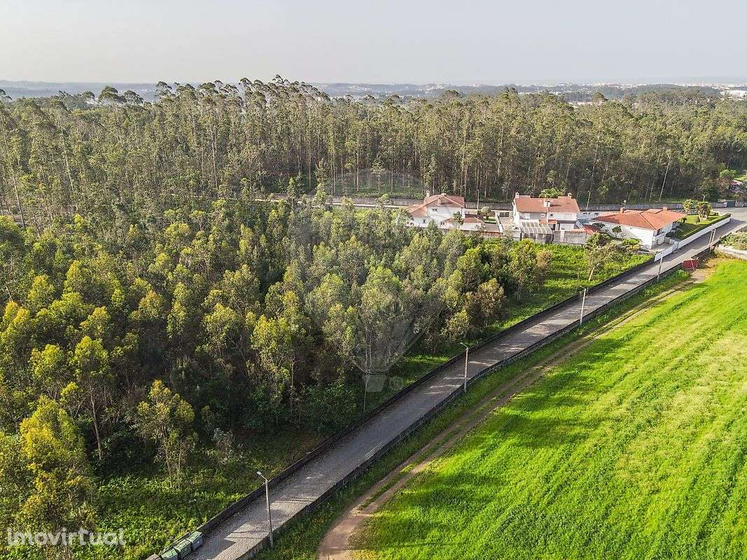 Terreno  para venda - Grande imagem: 4/11