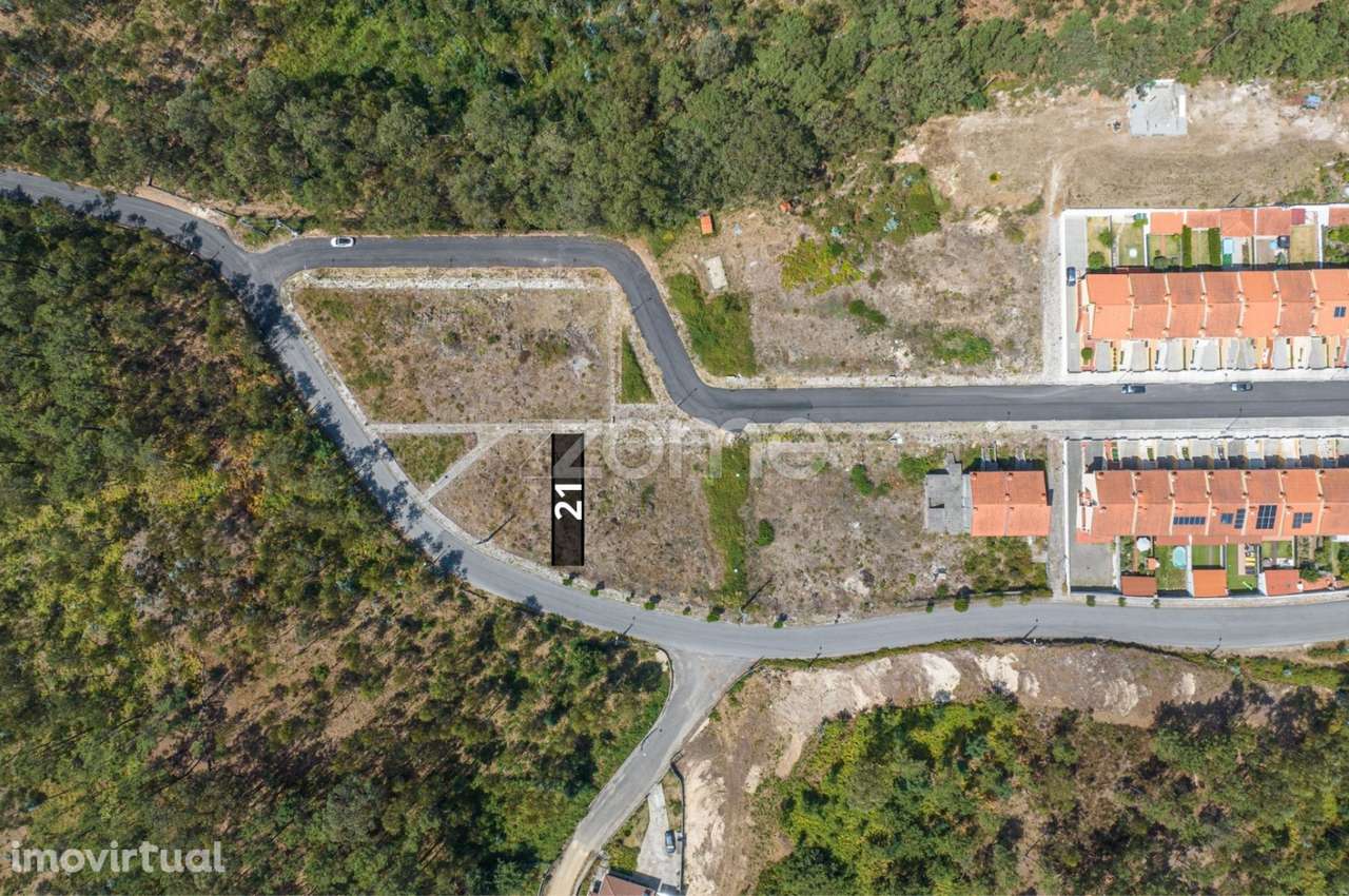 Lote de terreno nº21, em Chão de São Marcos Lugar de Fajões - Grande imagem: 4/19