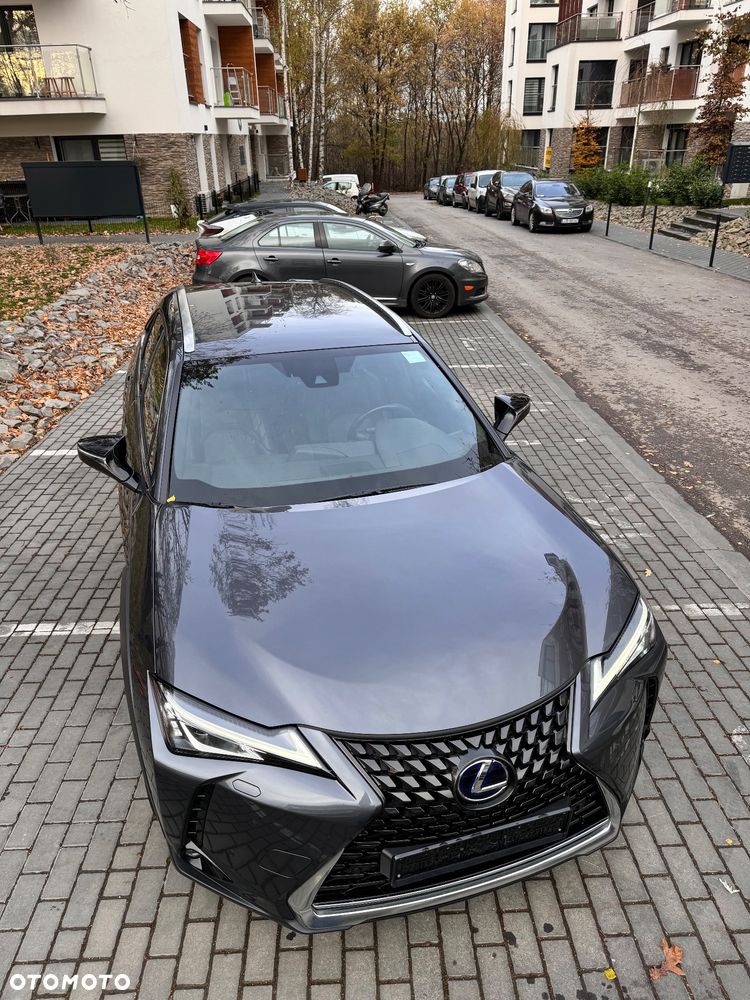 Lexus UX - 9