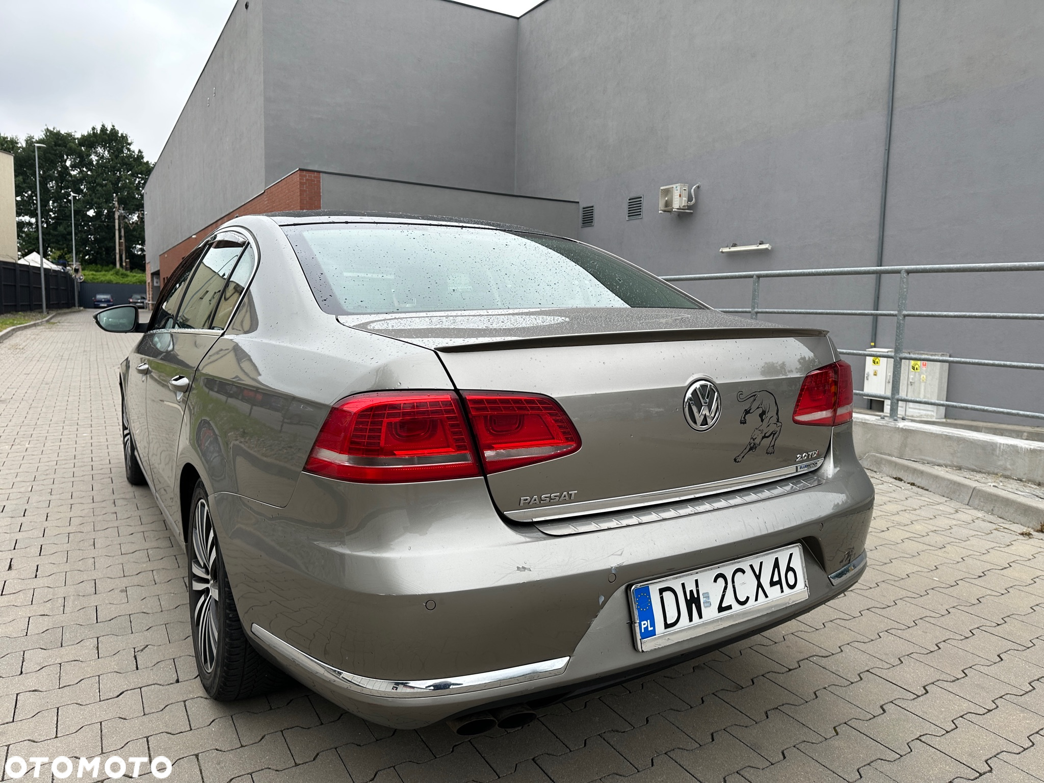 Volkswagen Passat - 6