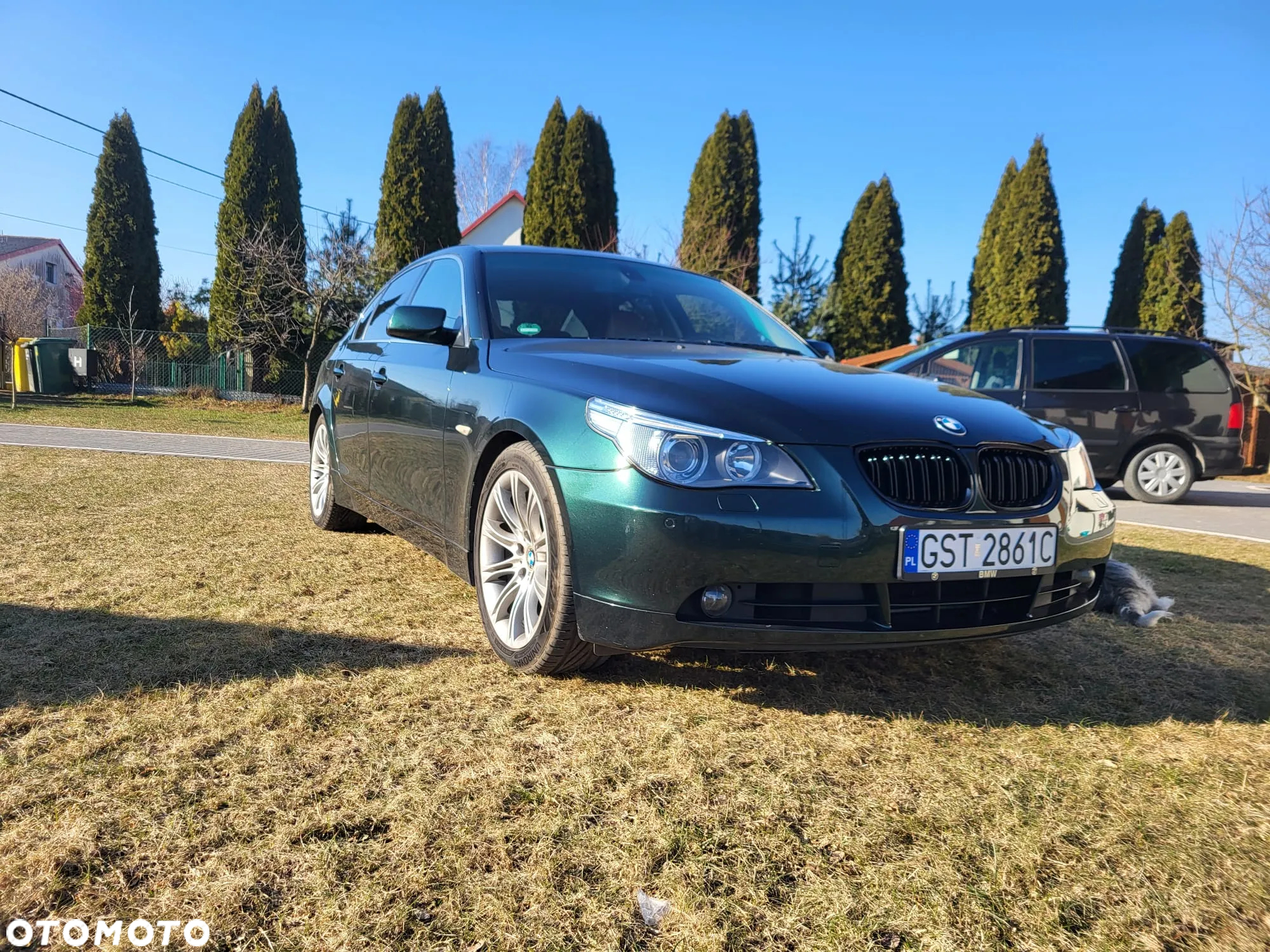 BMW Seria 5 530i - 12