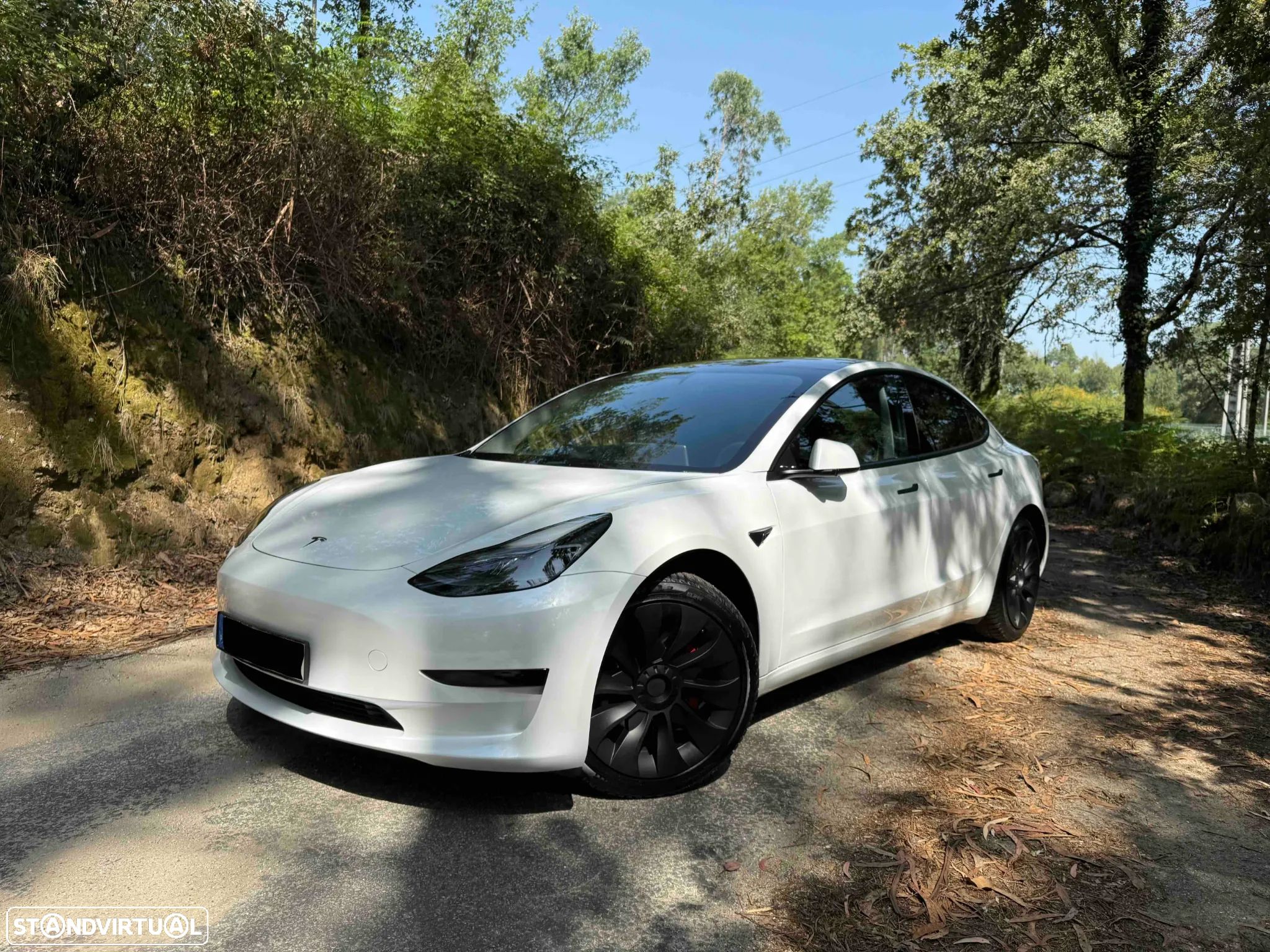Tesla Model 3 Tração Traseira Premium - 1