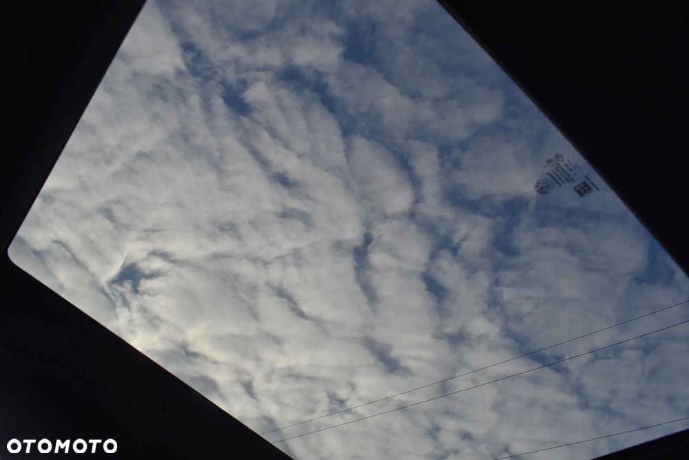 Alfa Romeo Stelvio 2.0 Turbo Veloce Q4 - 24