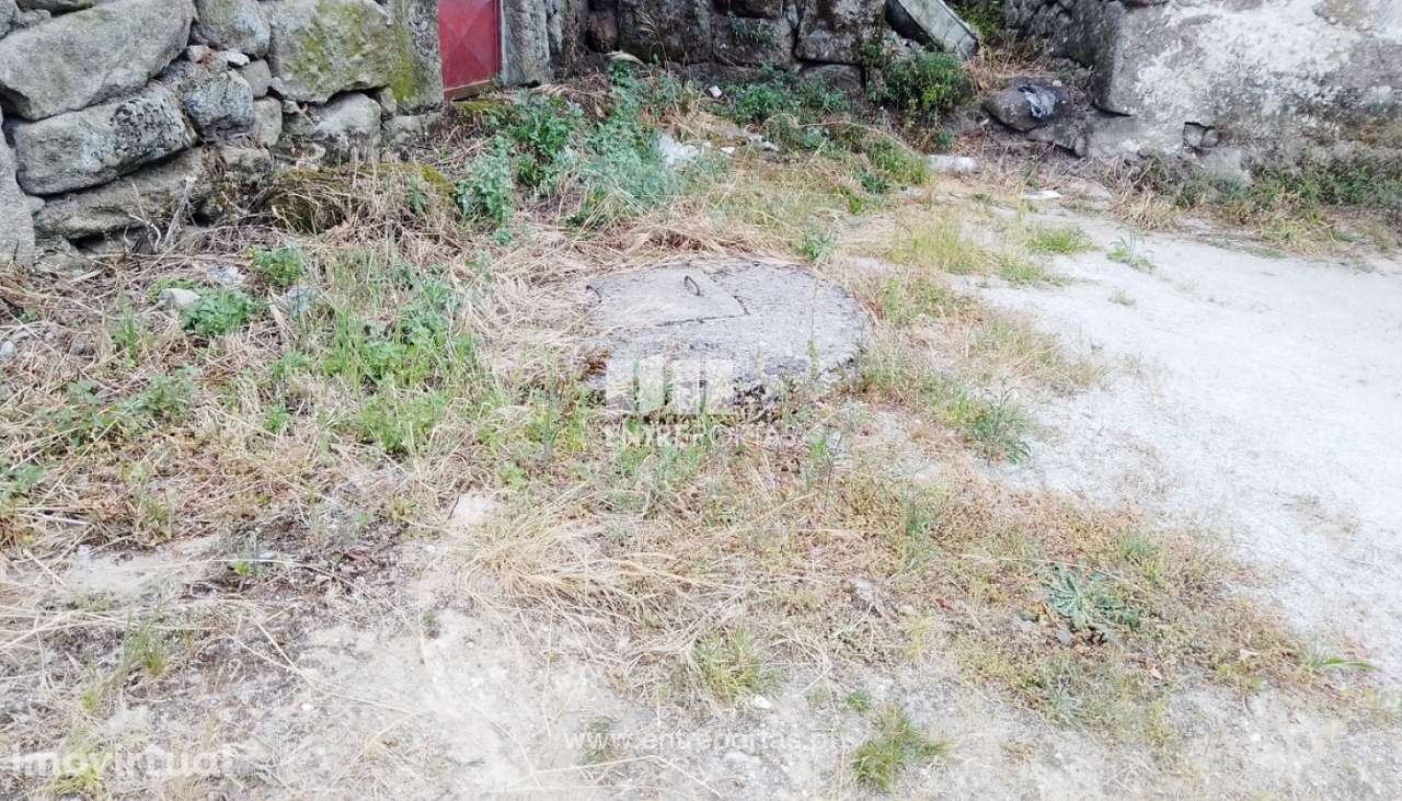 Venda Terreno Tarouquela, Cinfães - Grande imagem: 2/30