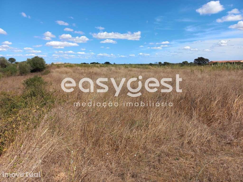 Terreno rústico com boa acessibilidade, com 18920M2 em Almoster - Grande imagem: 3/13
