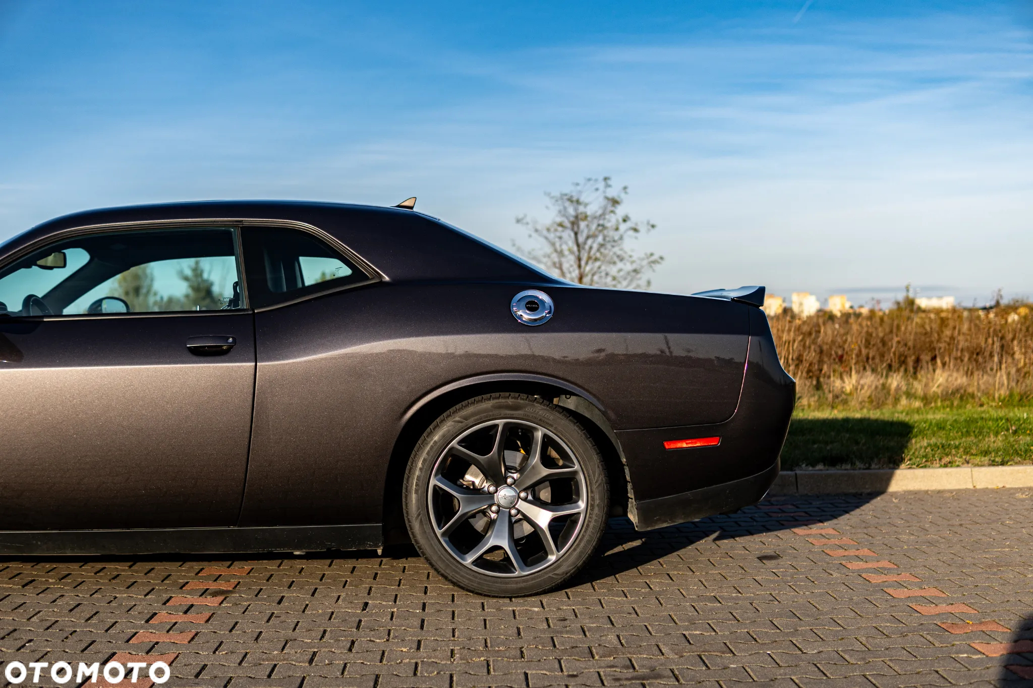 Dodge Challenger Automatik SXT Plus - 8
