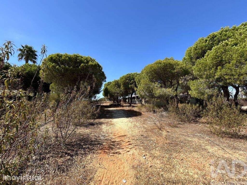 Terreno para construção em Almancil - Grande imagem: 3/7