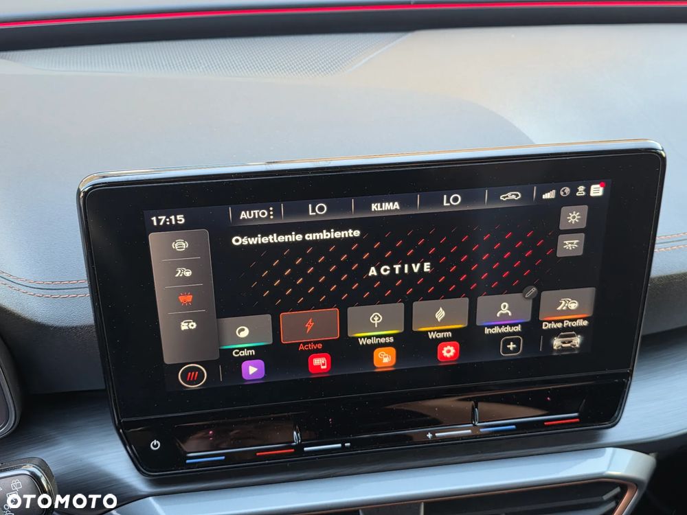 Cupra Formentor 1.5 TSI DSG - 28