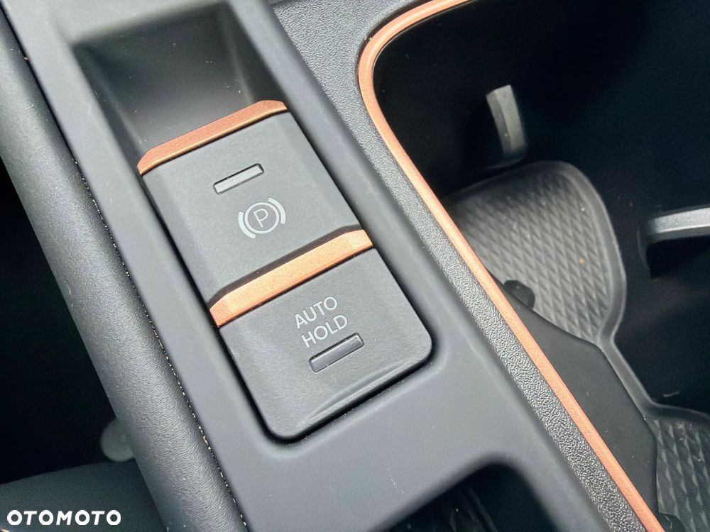Cupra Terramar 2.0 TSI 4Drive DSG - 22