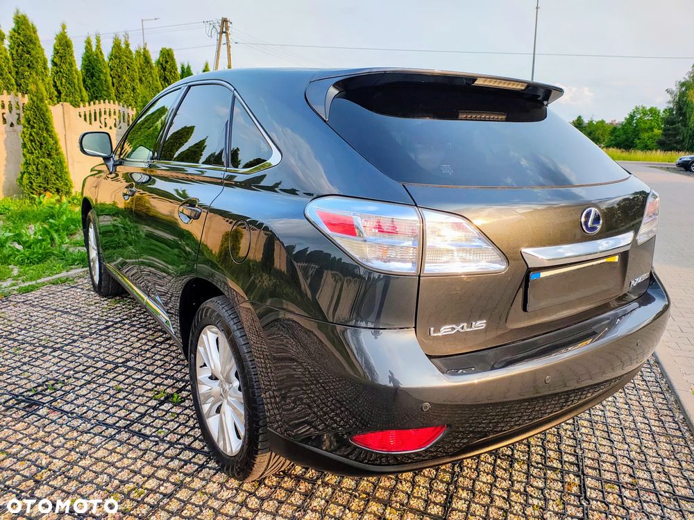 Lexus RX - 34