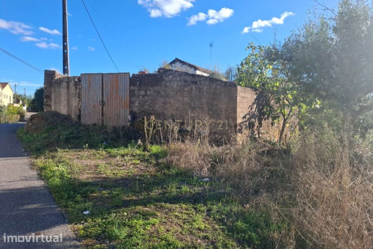 Casa para Recuperação em Alcaravela, Sardoal - Grande imagem: 5/9