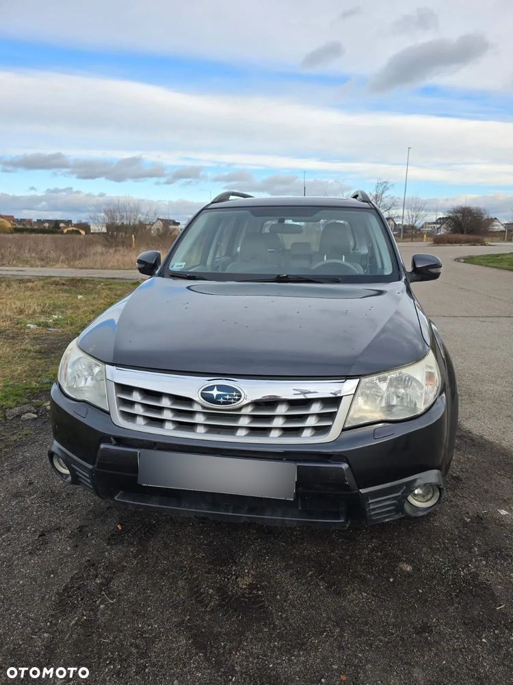 Subaru Forester - 3