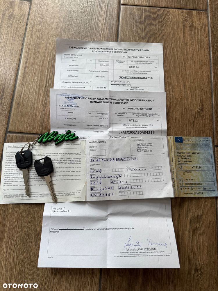 Kawasaki Ninja 300 ABS - 20