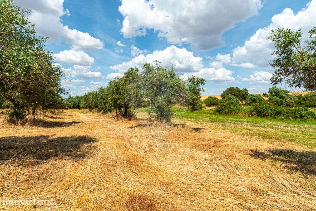 Terreno  para venda - Grande imagem: 3/44