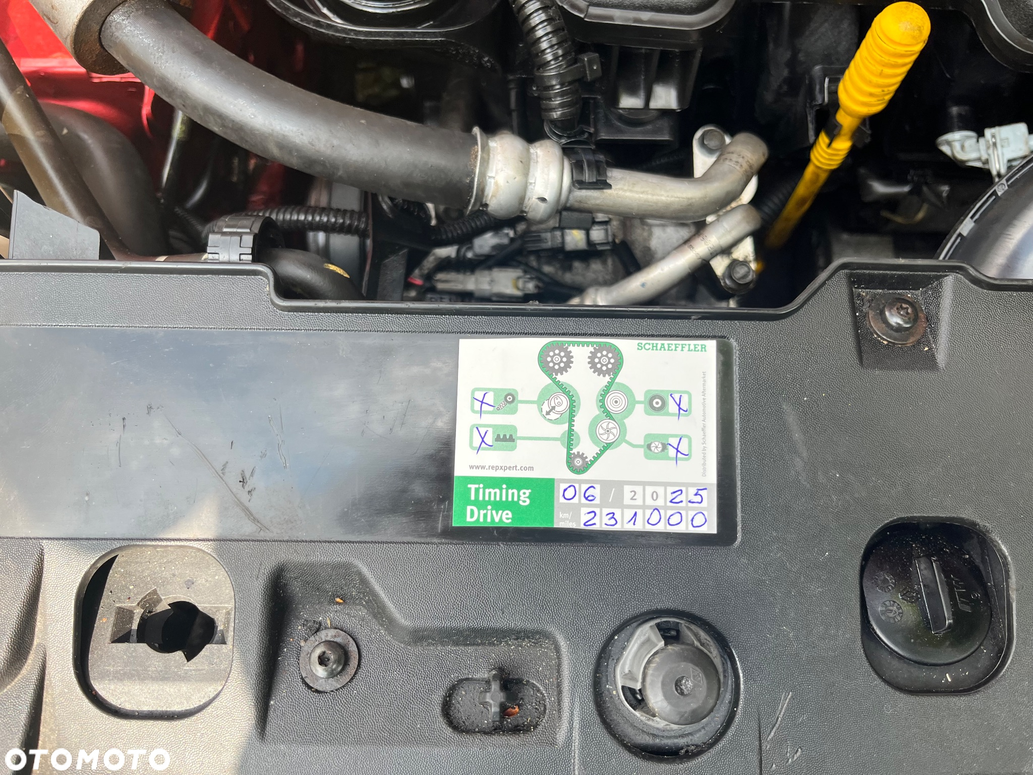 Renault Clio - 24