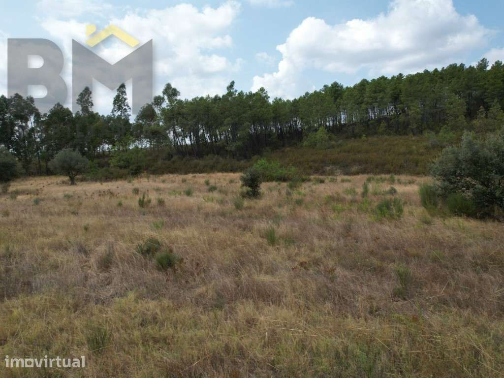 Quinta em Penamacor com 12.000m2 - Grande imagem: 2/5