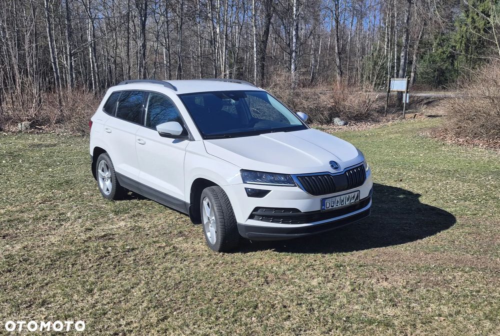 Skoda Karoq 2.0 TDI 4x4 DSG Drive - 2