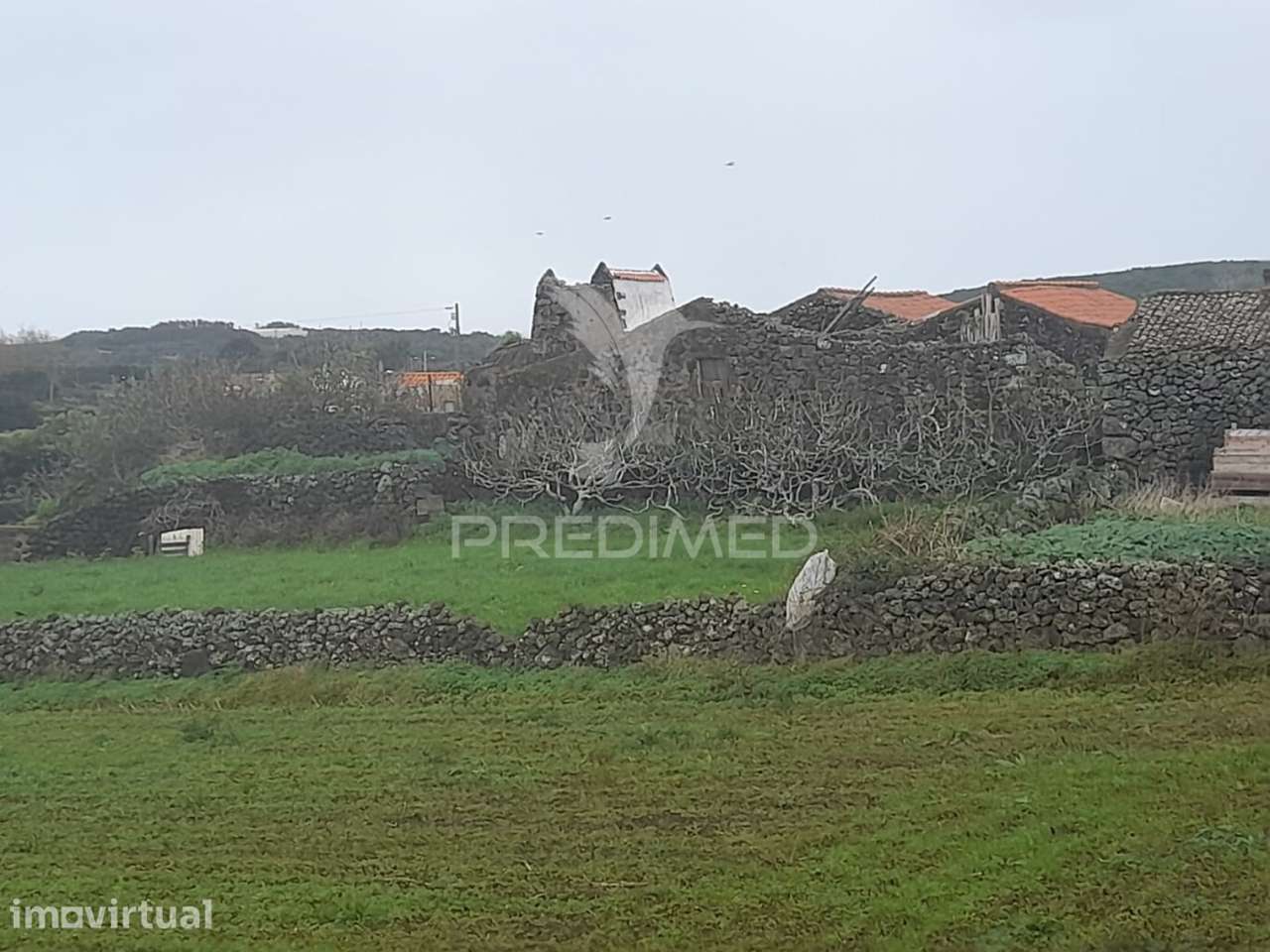 Ruina - Santa Cruz da Graciosa - Grande imagem: 3/4