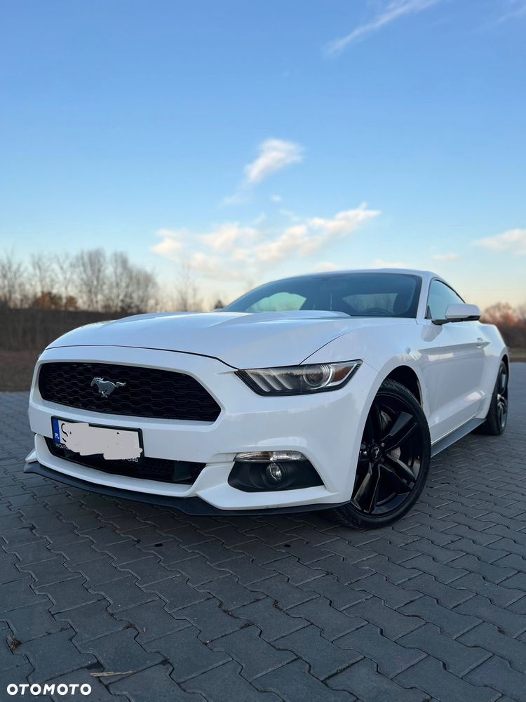 Ford Mustang 2.3 EcoBoost - 16