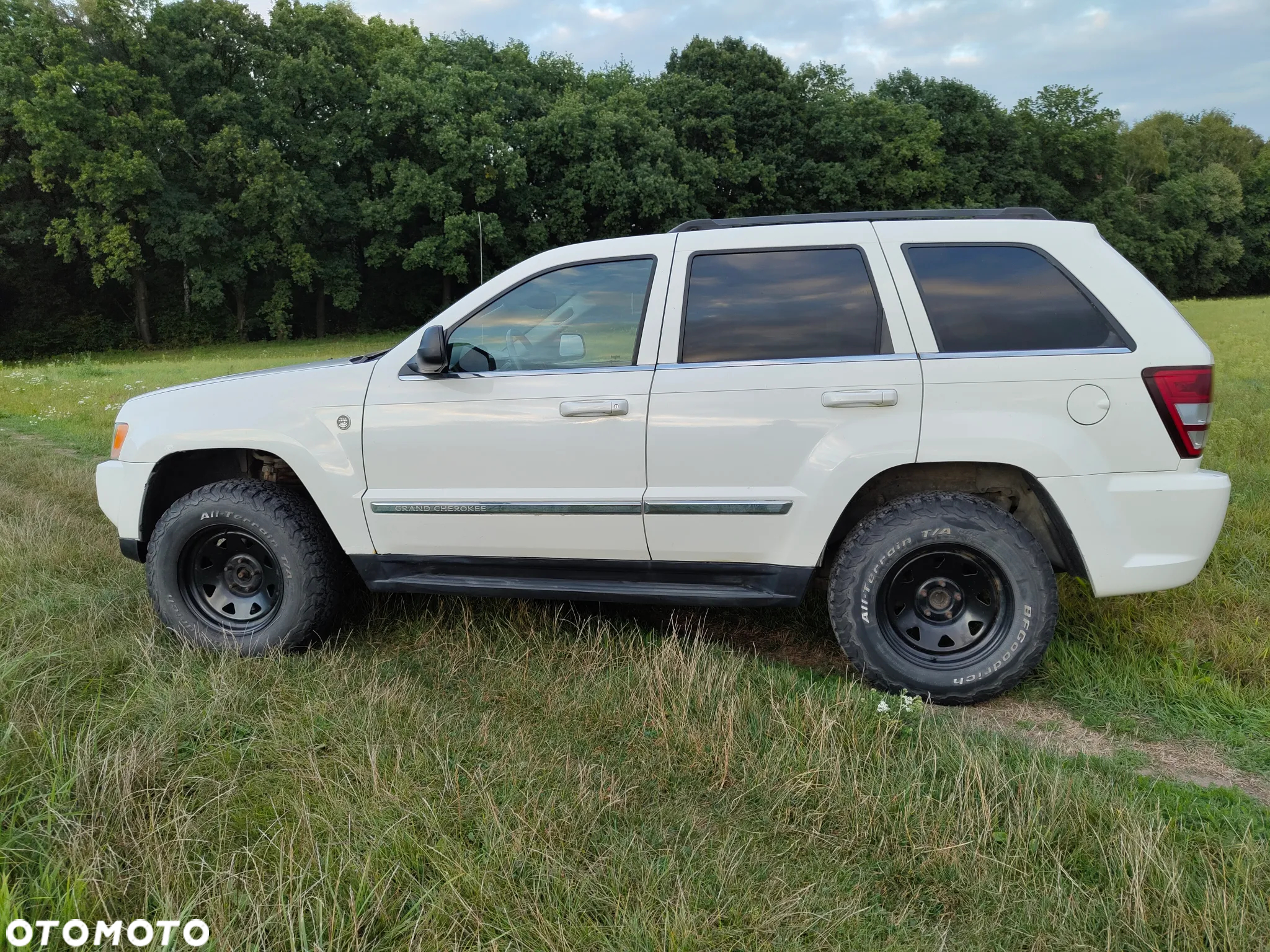 Jeep Grand Cherokee 4.7 Limited - 7