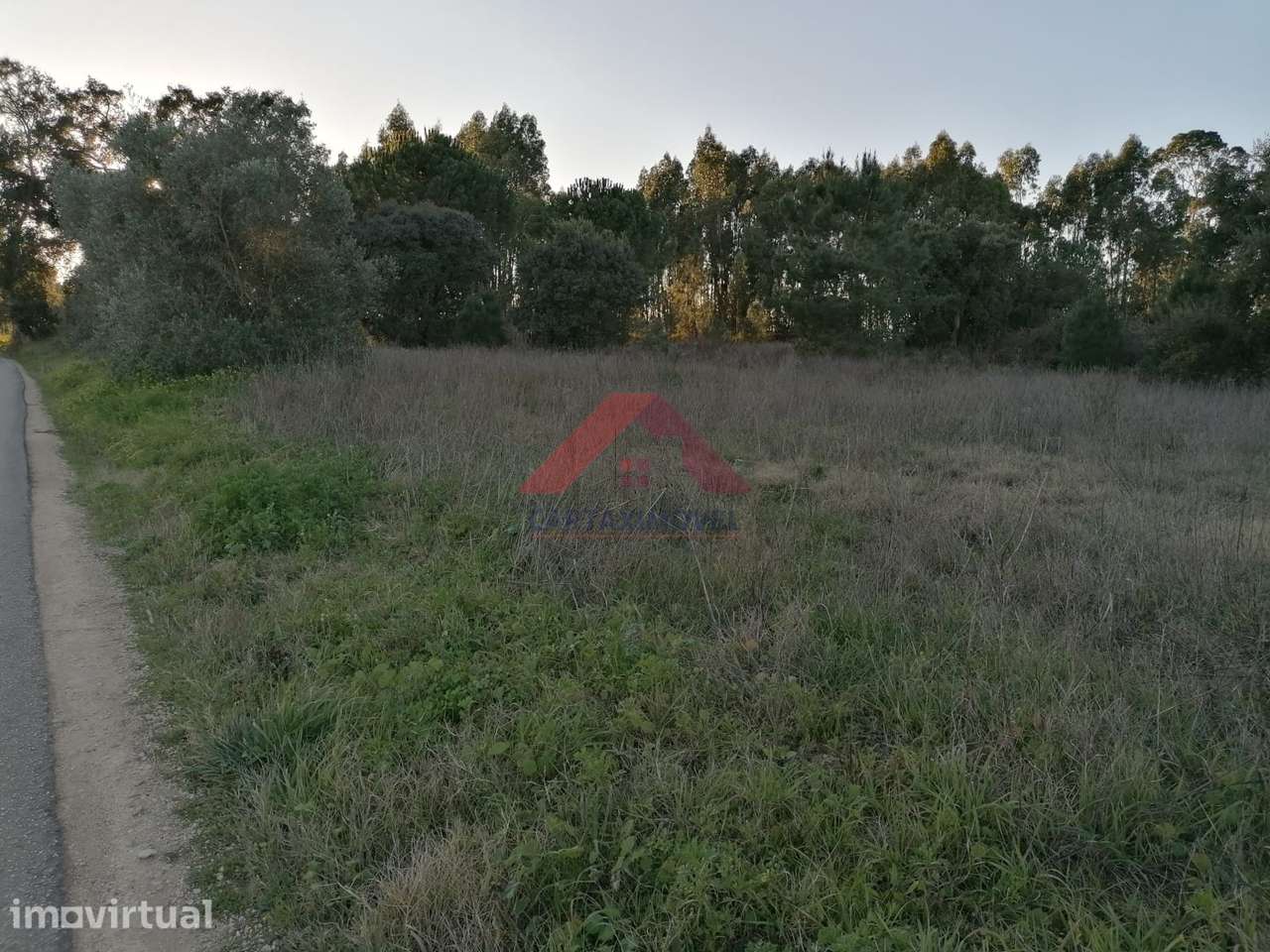 Terreno  Venda em Almoster,Santarém - Grande imagem: 5/14