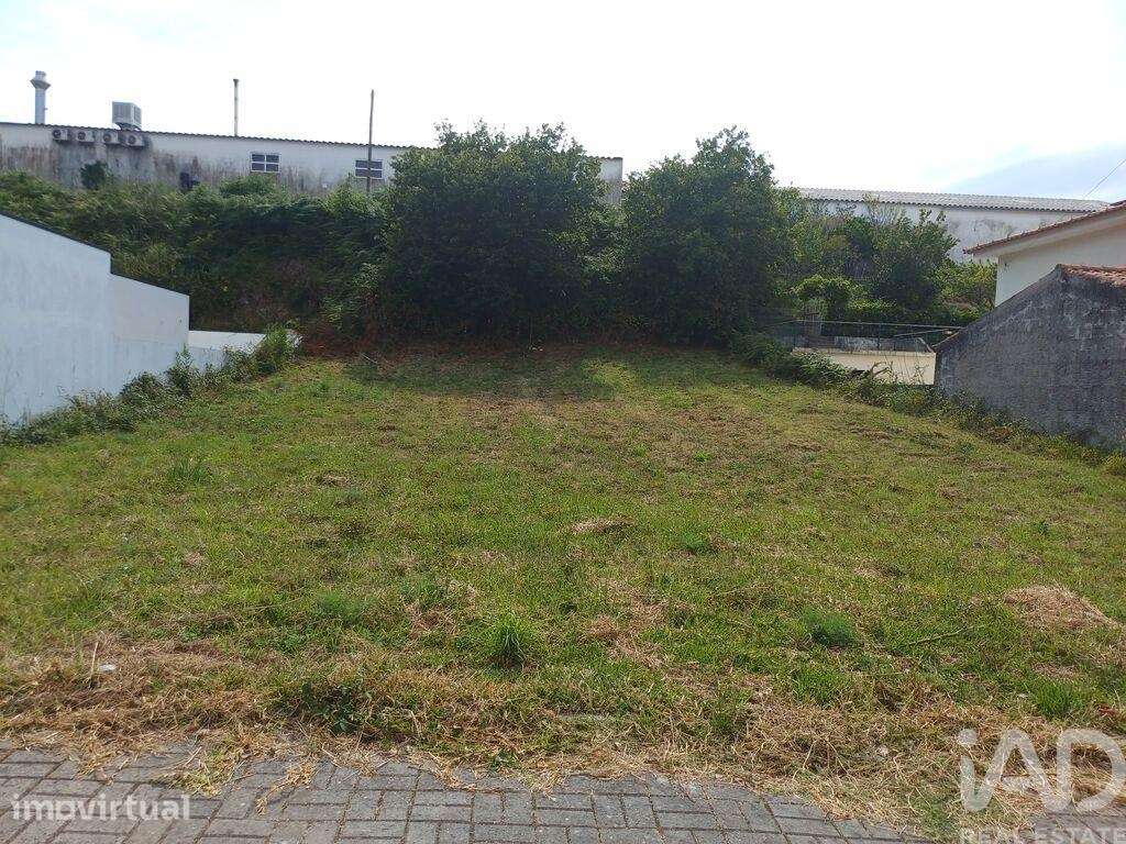 Terreno em Anha - Grande imagem: 4/6