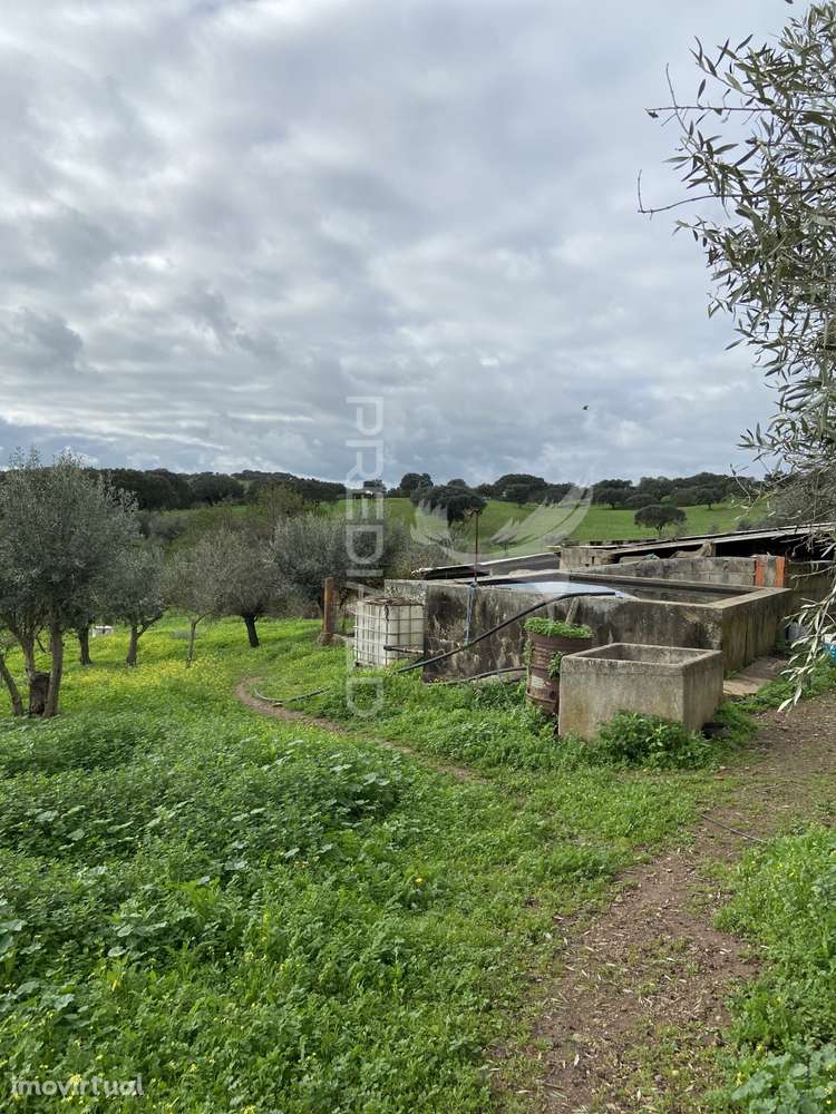 Moradia T1 com Terreno de 3300mts2 - Grande imagem: 2/14