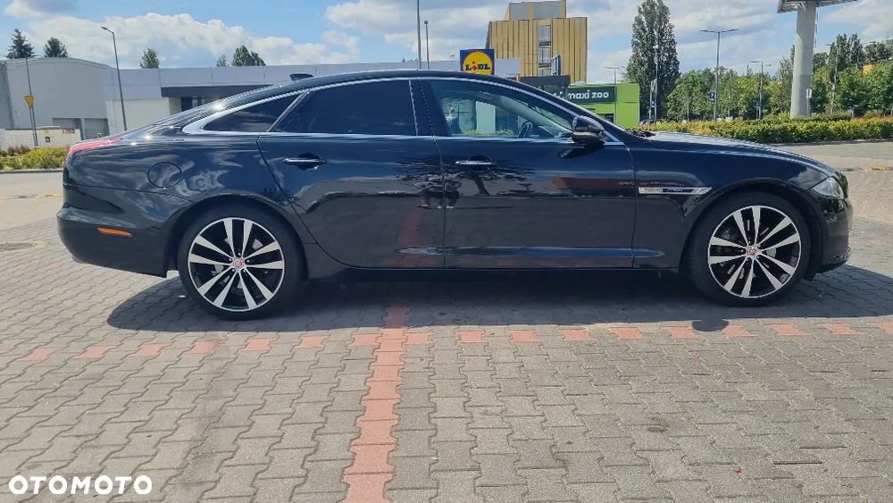 Jaguar XJ 3.0 D V6 XJ50 - 5