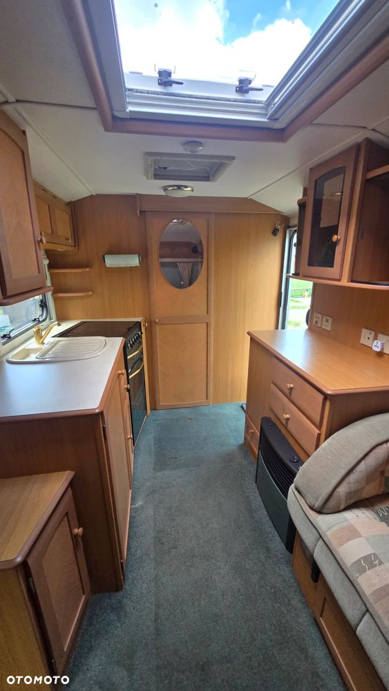 Avondale Avocet Golden - 5
