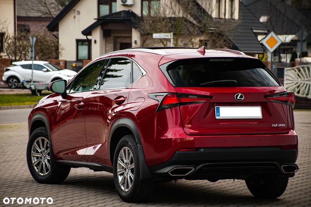 Lexus NX - 15