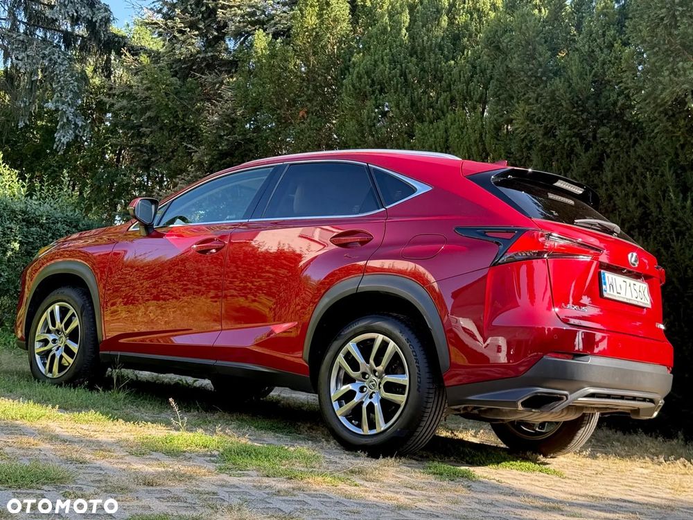 Lexus NX 300 Comfort AWD - 13