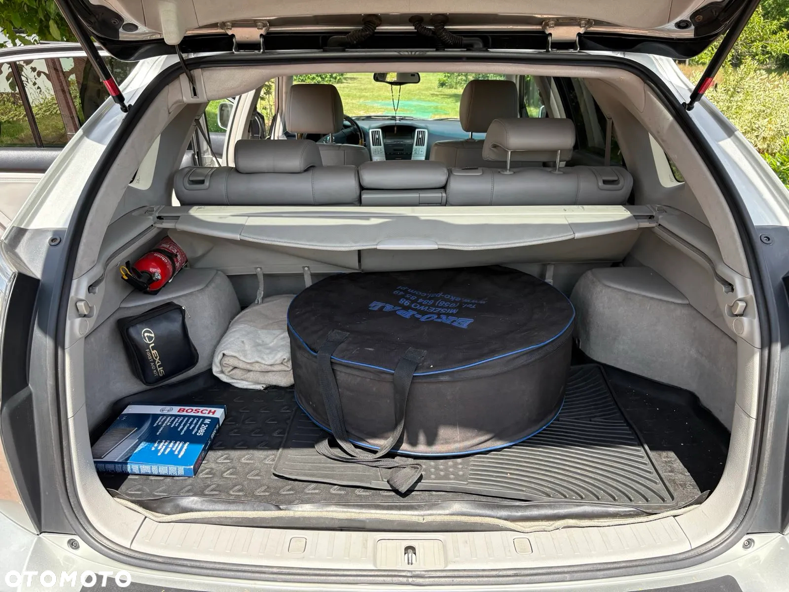 Lexus RX 330 - 10