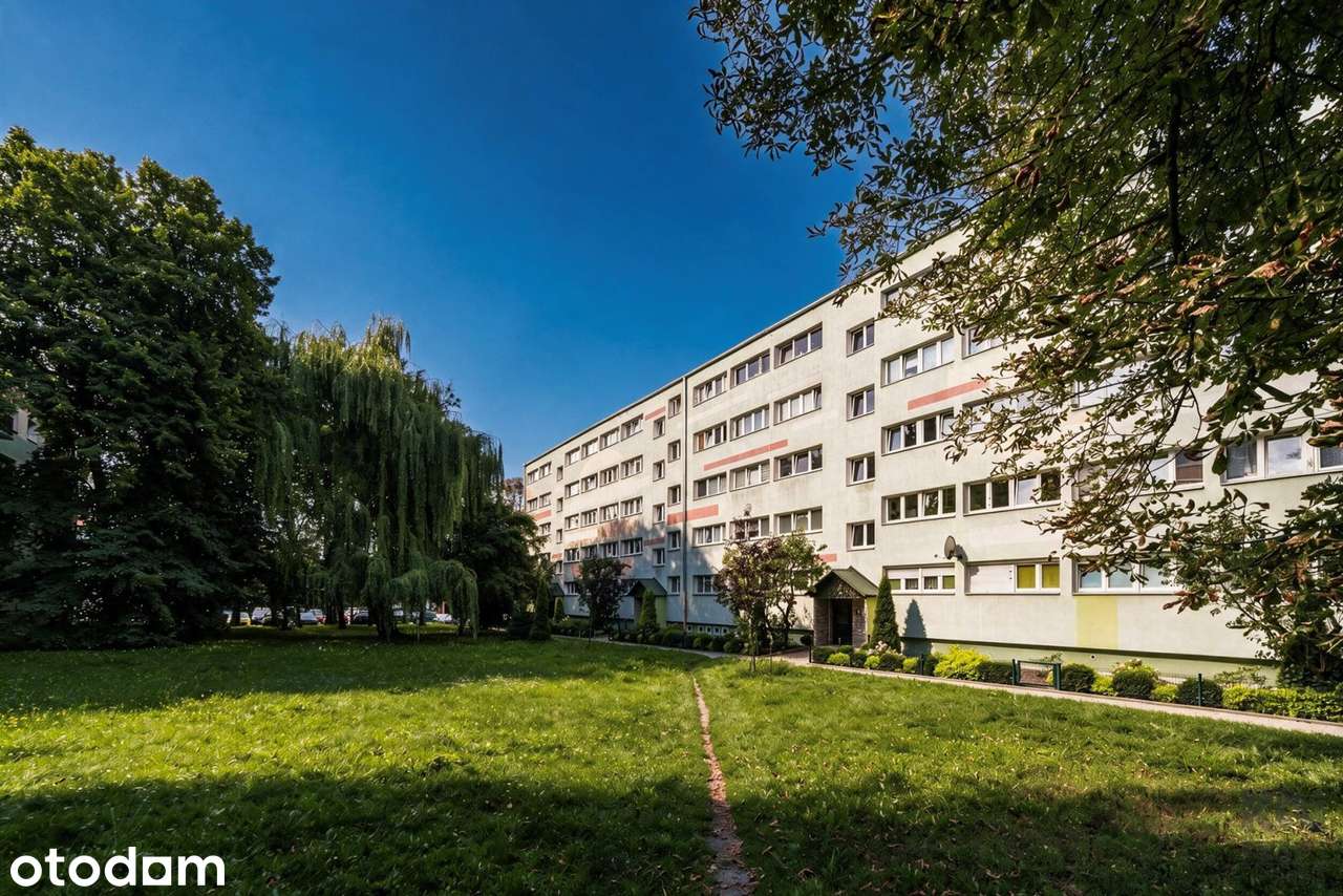 Przestronne mieszkanie blisko parku