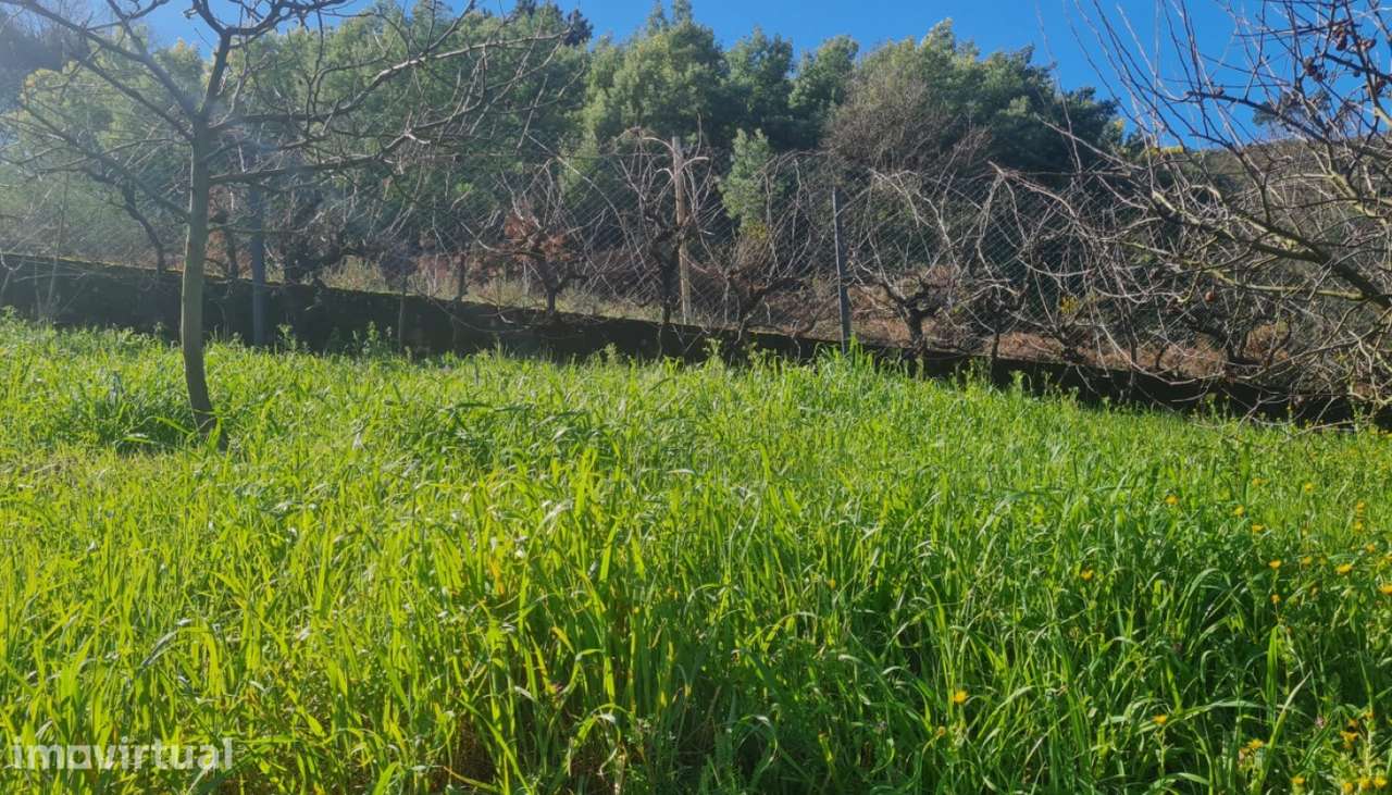 Venda Moradia V2, Santa Marinha do Zêzere, Baião - Grande imagem: 3/29