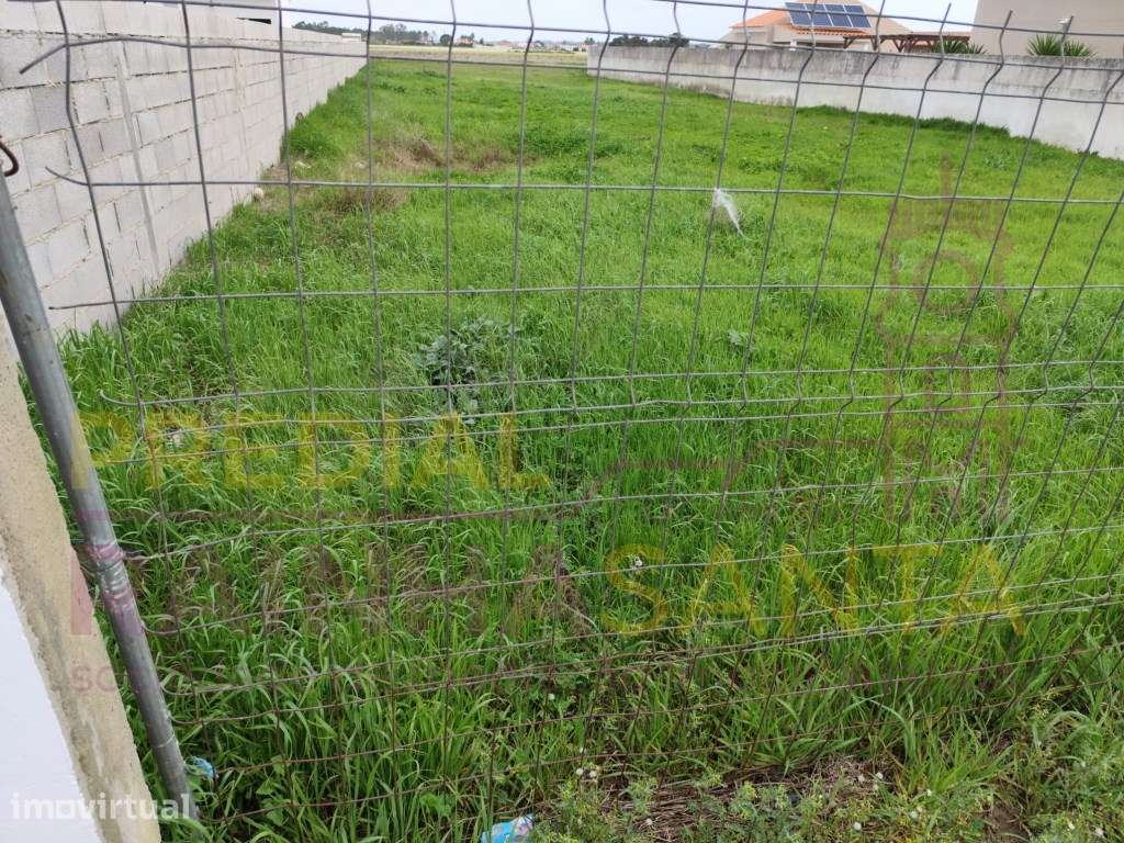 Terreno para Construção - Foros de Salvaterra - Grande imagem: 3/4