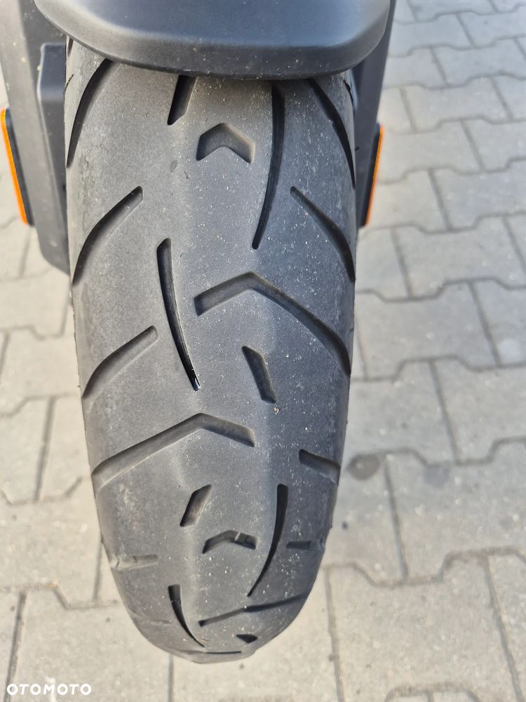 Triumph Tiger - 10