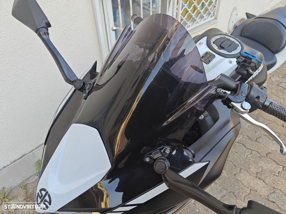 Kawasaki Ninja - 3