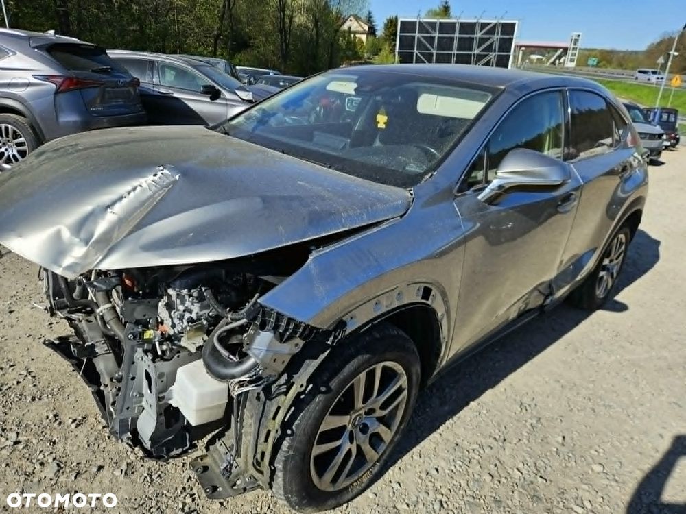 Lexus NX 300h - 18