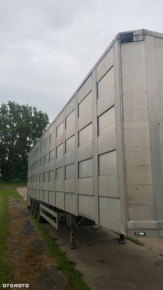 Mol Montull,Żywca Bydła,Tuczników,Zwierząt - 1