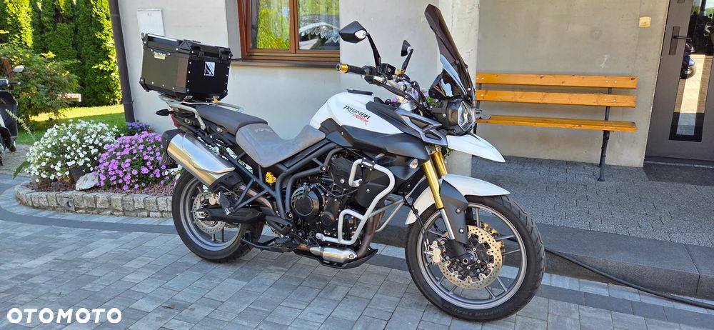 Triumph Tiger