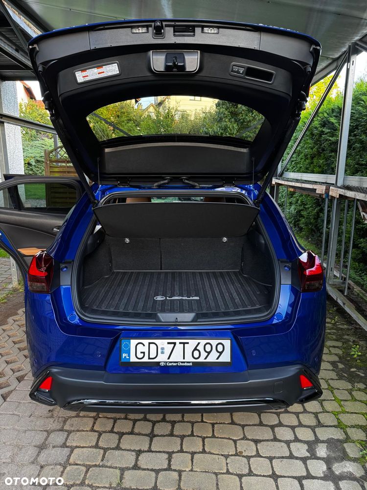 Lexus UX 300h F Sport Design - 16