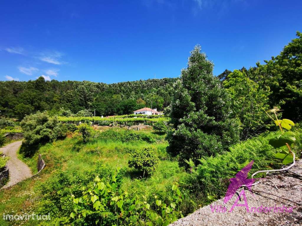 Terreno para construção com vista desafogada e óptima disposição solar - Grande imagem: 4/10