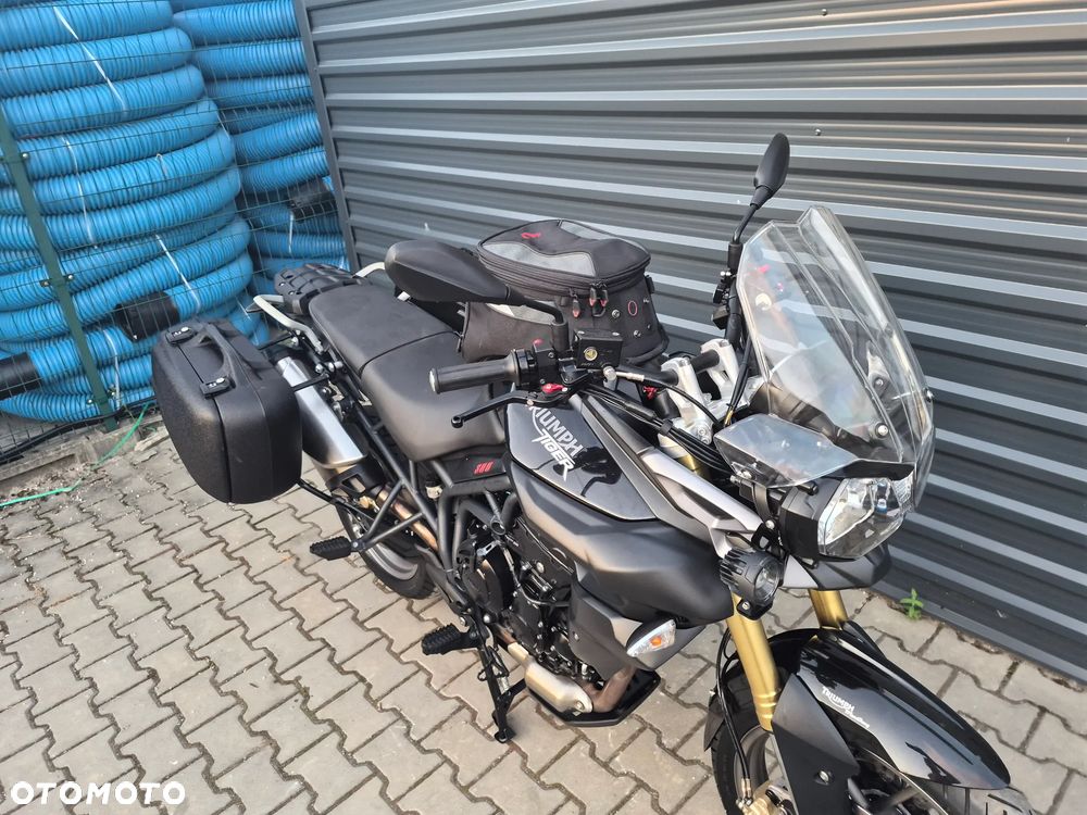 Triumph Tiger - 8