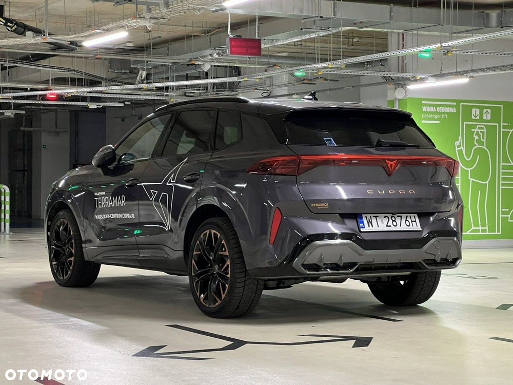 Cupra Terramar - 5
