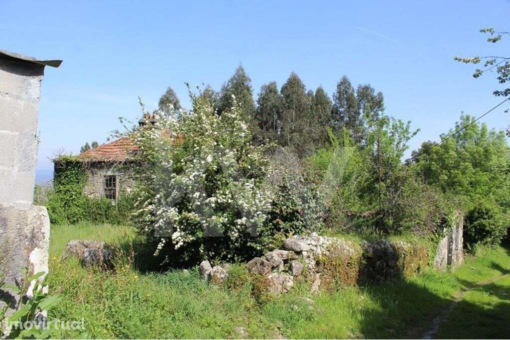 Moradia e terreno com 4200m2 em Valença. Investimento Estratégico em T - Grande imagem: 2/20