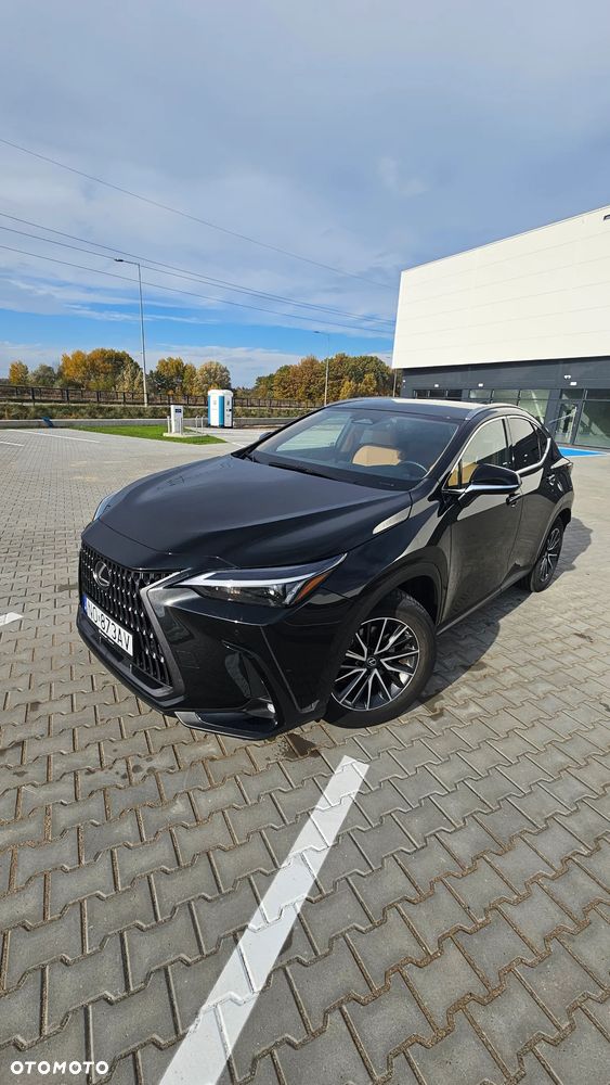 Lexus NX - 1