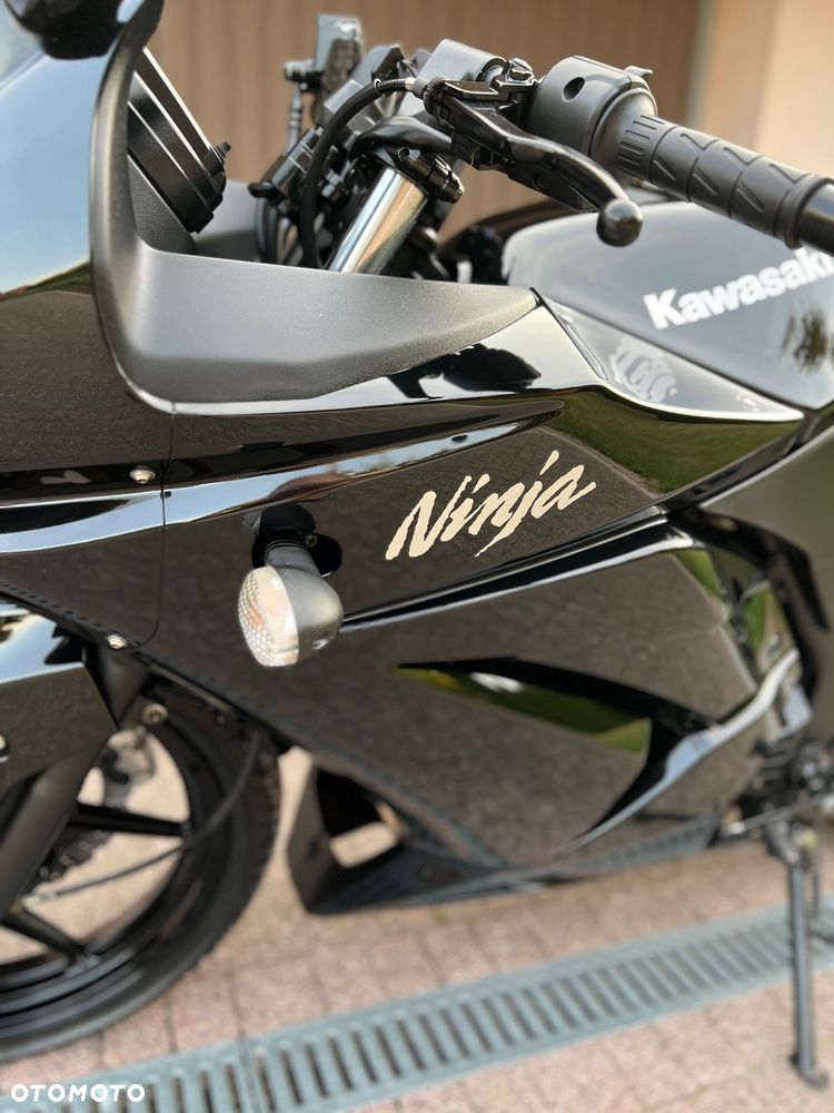 Kawasaki Ninja 250R - 19