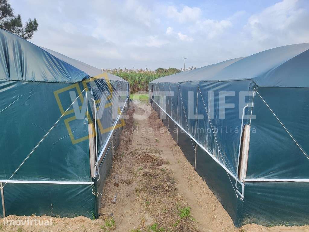 Excelente Terreno Rústico com 6.410 m² | Ideal para Projeto Agrícol... - Grande imagem: 3/12
