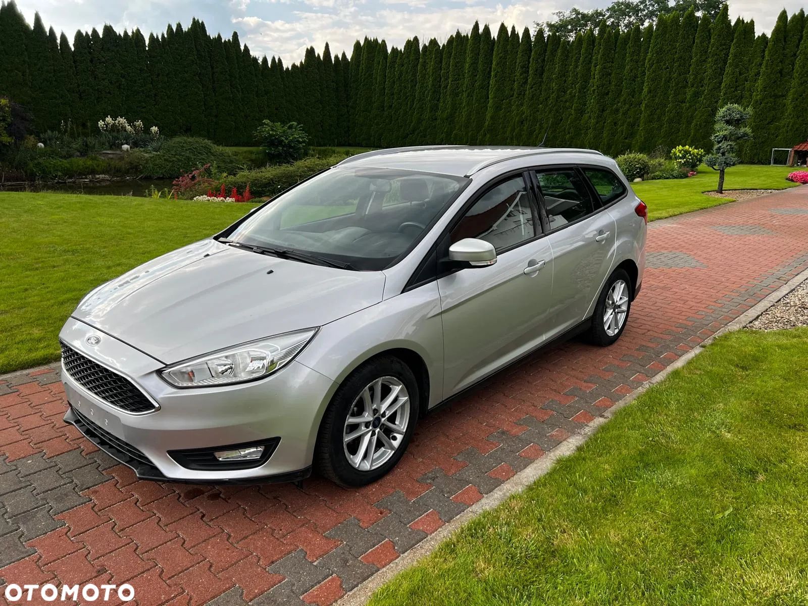 Ford Focus 1.5 EcoBlue Start-Stopp-System ACTIVE STYLE - 1